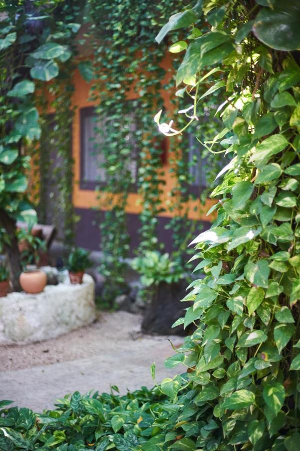 Secret Garden Tulum Hotel Eksteriør bilde